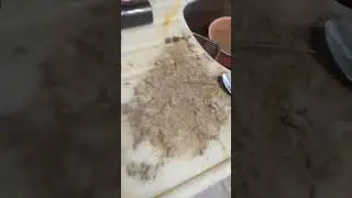 Dyson Süpürge Temizliği  İşte Böyle olur