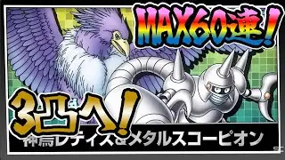 【ドラクエタクト】WPU開幕戦！！両方3凸目指して神引きだ～！
