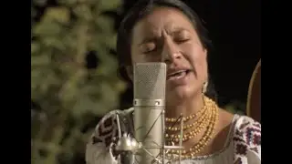 Humazapas - Como Chiwaku - ANTA music / sesión en vivo