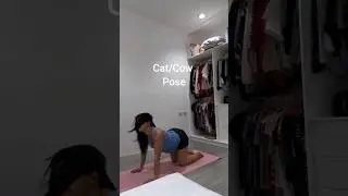 Trasition from cat/cow pose to tiger yoga pose #shorts #catcowpose