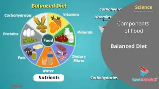 Components of Food Class 6 Science - Balanced Diet
