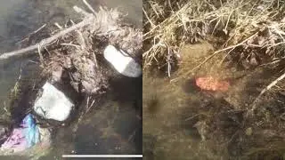 #DelphiMurders - Location Of Clothing In Deer Creek