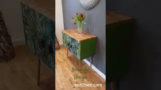 Amazonia Tropical Forest Record Cabinet