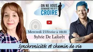 SYLVIE DE LAFORÊT : Synchronicités et chemin de vie