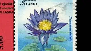 Flowers on postage stamps.