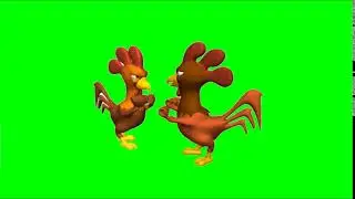 Funny Chicken Green Screen HD Videos Clips 2021