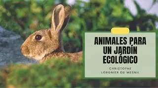 [#Podcast] Animales para un jard&iacute;n ecol&oacute;gico - Animals for an ecological garden