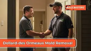 Fast and Reliable Mold Removal in Dollard-des Ormeaux, Quebec