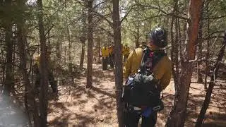 Building a Fire Line