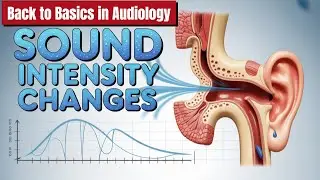 The Physics of Loudness: How Doubling Your Distance Slashes Sound Intensity by 75%