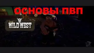 ОСНОВЫ ПВП В the wild west в 2024 году