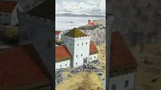 The Man In The Well: A True Viking Saga #shorts #shortvideo #vikings #history #ancient #norse