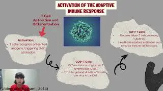 Video presentation about Host immune response against the pathogen