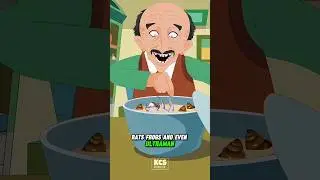 The Legend of the Hedgehog Man &ndash; Have You Heard the Tale? #shorts #animation #cartoon #kids