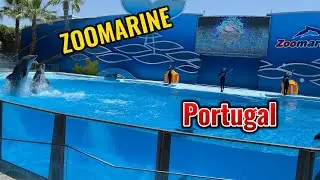 Zoomarine Portugal |  Algarve | Travel vlog | Dolphins show