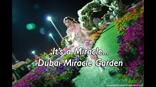 Dubai Miracle Garden including at Night - It's a Miracle