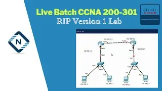 56.RIP Version 1 Lab | CCNA Lab | Network Basic