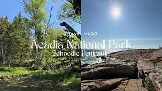 Acadia National Park Day Trip: Schoodic Peninsula (No Crowds!) | Family Travel Vlog