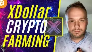 xDollar Stable Farming (Low Risk/High Reward)