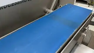 Variable Speed PU Belt Conveyor