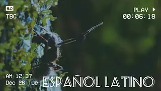 Doblaje documental/ 'Zombie' Parasite Cordyceps/ National Geographic/ Espa&ntilde;ol Latino