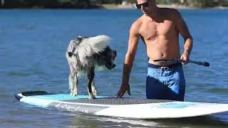 The Perfect Family Paddleboard - Waterborn Sublime SUP