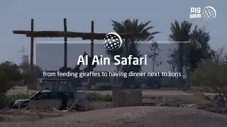 WAM Feature: Al Ain Safari, from feeding giraffes to having dinner next to lions