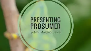 presenting nikon prosumer p50mm macro lens. #shorts #prosumer #mobilemacrophotography