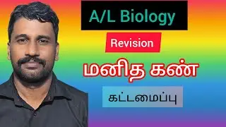மனித  கண் A/L Biology Revision Tamil Medium Human Eye