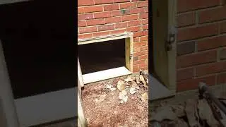 Replacement crawlspace door.