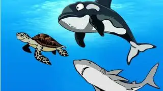 TUTO TORTUES - Menaces & Protection 4 - Quels sont les prédateurs naturels des tortues marines ?