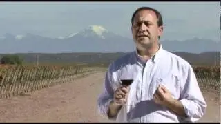 Do&ntilde;a Paula Estate Malbec