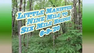 Little Manistee River Nine Mile Bridge to Six Mile Bridge - 6/9/'20