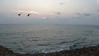 Sunset in Varkala | Edava Beach | Sunset Point | Day-2 | Kerala | @visitorseye1563