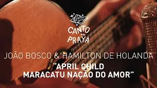 MARACATU NAÇÃO DO AMOR | APRIL CHILD |  HAMILTON DE HOLANDA & JOÃO BOSCO | CANTO DA PRAYA