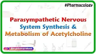 1.Parasympathetic nervous system - Synthesis and Metabolism of Acetylcholine ( ANS Pharmacology )