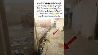 Giant Snake Spotted in Wazirabad Area🐍⚠️#BreakingNews #SnakeAlert #ViralShorts #PublicSafety #foru