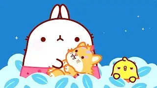 Molang - GATITO DIENTE DE SABLE 🐹 Episodio 1 | Toons Mania - Princesas y Aventuras