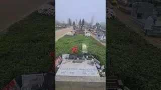 Cimeti&egrave;re le cellier a Nantes 01/112024