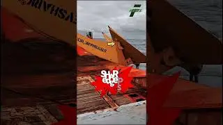 How a Massive Ship Stops Using an Anchor ⚓ | Real Engineering Explained #Engineering #ShipFacts