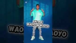 Sai Dee ft shlai x Kelly dabo waoyo ni waoyo .2026