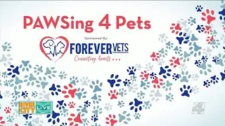 PAWSing 4 Pets with Forever Vets | River City Live
