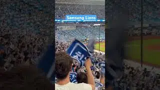Samsung Lions Baseball Game Cheerleading #2025 #KBO #야구 #korea #sport #samsung #lions