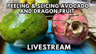 🔴 PEELING & SLICING AVOCADO & DRAGON FRUIT #asmr #asmreating 