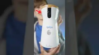 ЛУЧШИЙ собачий гаджет всех времен🐶