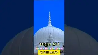 Surkanhi Sharif Muzaffarpur  #shorts #viral