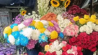 Naam ke Pehle Akshar se Jaane Apni Rashi aur Bhavishya#NaamSeRashi #Astrology #Jyotish #ZodiacSigns