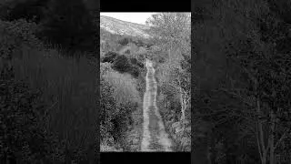 Tom Barrett.... The Traveller Blood (Our Eternal Road)
