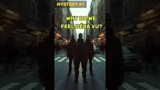 WHY DO WE FEEL D&Eacute;J&Agrave; VU?