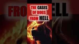 DOGS FROM HELL #folklore #mythology #supernatural #paranormal #unexplained #shorts #uncanny